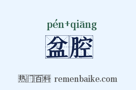 盆腔是什么意思的图片